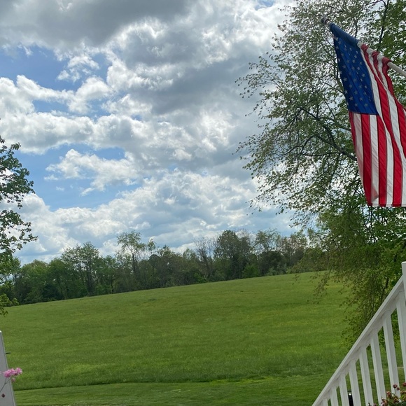 Meet your Posher, Nina - Picture 1 of 2